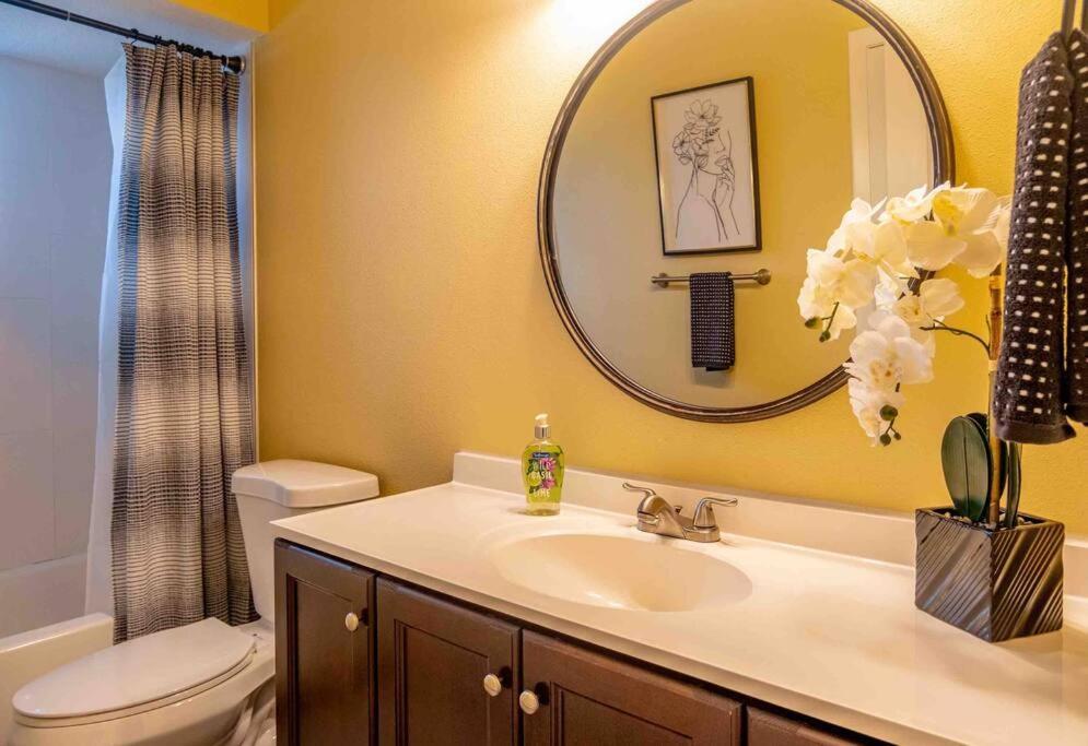 3Bdr2Bath Home In Lutz Close To Tampa, 20 Min To Stadium, Airport Dış mekan fotoğraf